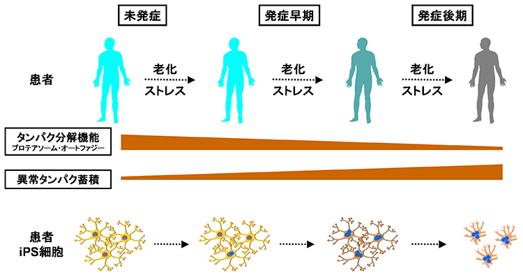 研究2
