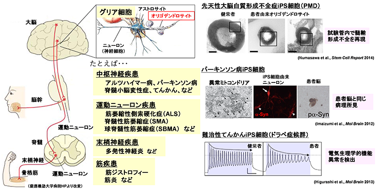 研究4-1