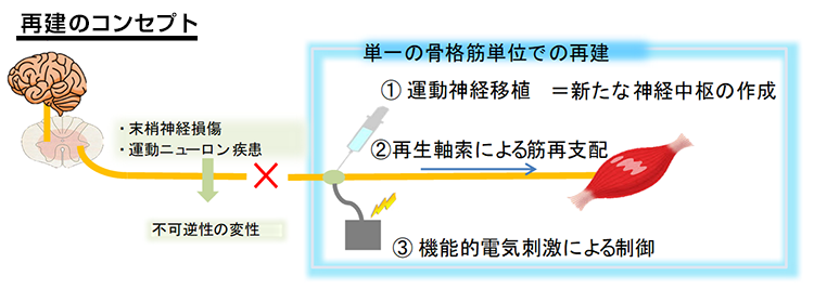 研究9-1
