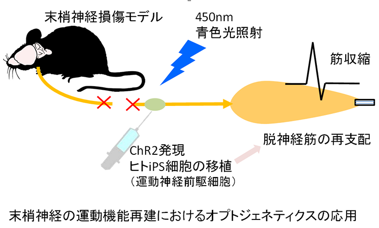 研究9-2