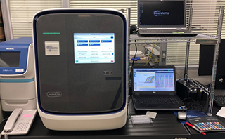 リアルタイムPCR