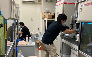 クリーンベンチ4台と安全キャビネット1台